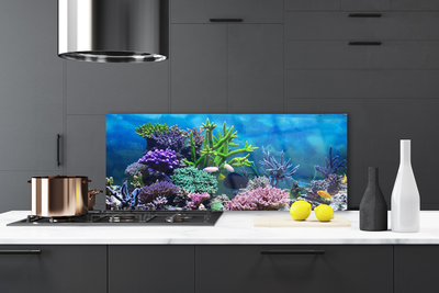 Pannello paraschizzi cucina Pesce sott'acqua acquario