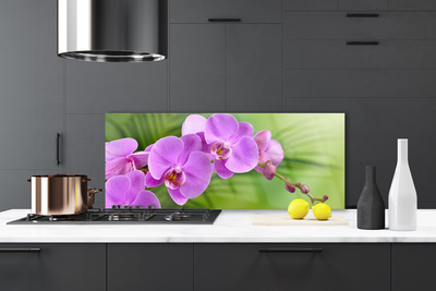 Pannello rivestimento parete cucina Orchidea Fiori di orchidea
