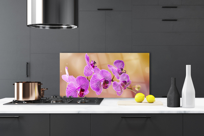 Pannello paraschizzi cucina Gambi di orchidea Fiori Natura