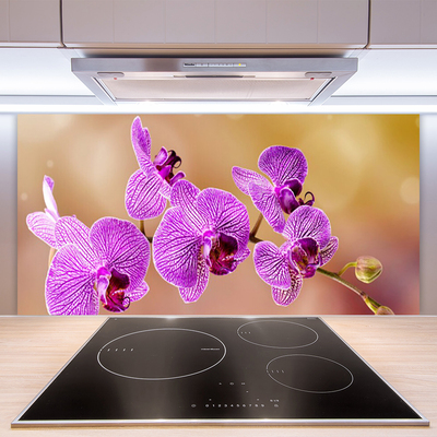 Pannello paraschizzi cucina Gambi di orchidea Fiori Natura