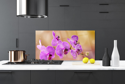Pannello paraschizzi cucina Gambi di orchidea Fiori Natura