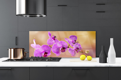 Pannello paraschizzi cucina Gambi di orchidea Fiori Natura