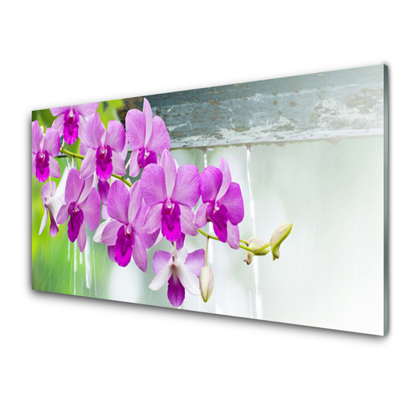 Pannello paraschizzi cucina Orchidee, gocce, natura