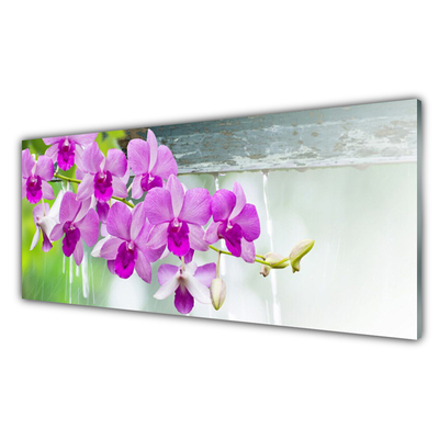 Pannello paraschizzi cucina Orchidee, gocce, natura