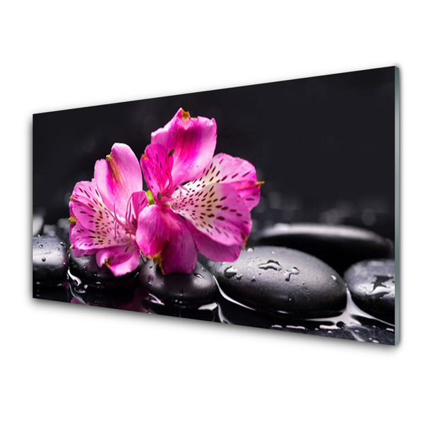 Pannello paraschizzi cucina Zen Spa Pietre Fiori