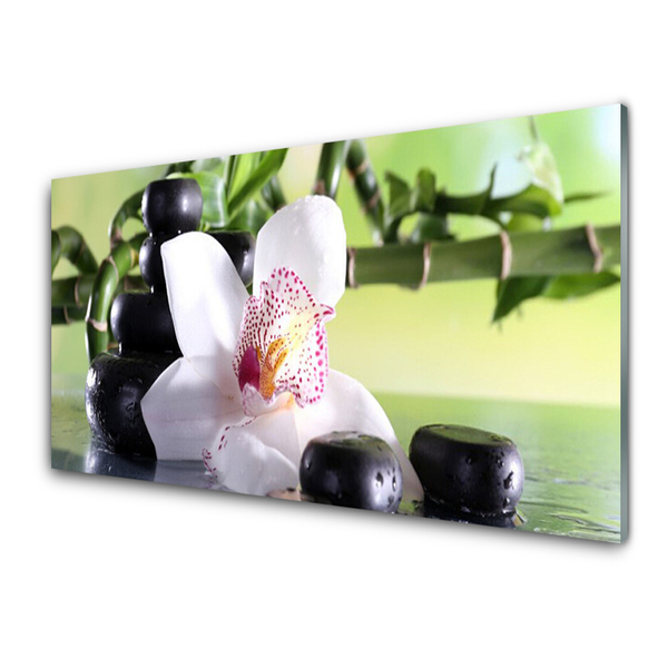 Pannello paraschizzi cucina Pietre di bambù dell'orchidea