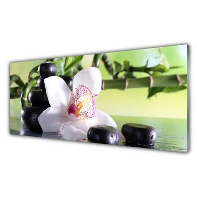 Pannello paraschizzi cucina Pietre di bambù dell'orchidea