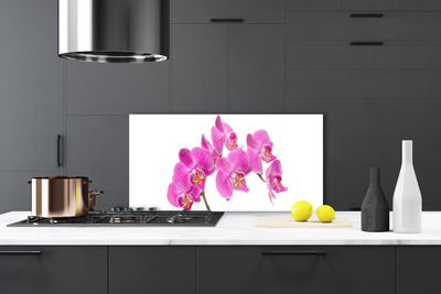 Schienali cucina Fiori di orchidea Natura