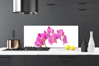 Schienali cucina Fiori di orchidea Natura