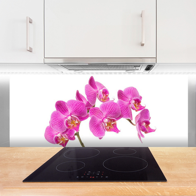 Schienali cucina Fiori di orchidea Natura