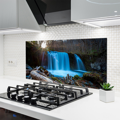 Pannello paraschizzi cucina Cascata della natura