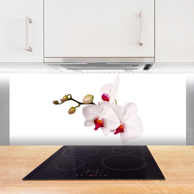 Rivestimento parete cucina Fiori di orchidea della natura
