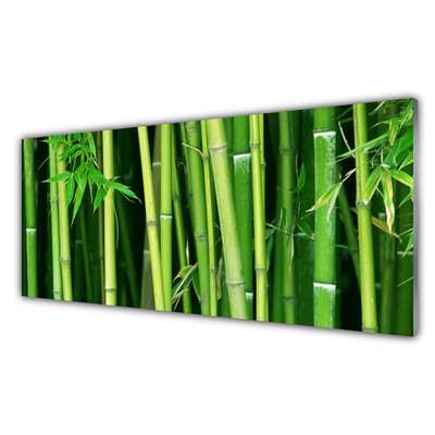 Pannello cucina paraschizzi Foresta di bambù Natura di bambù