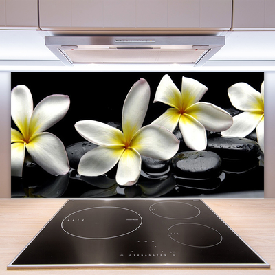 Pannello paraschizzi cucina Bellissimo fiore di Plumeria