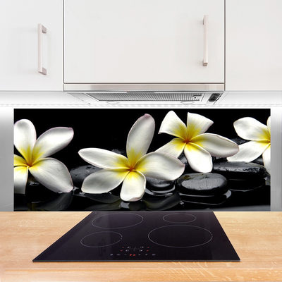 Pannello paraschizzi cucina Bellissimo fiore di Plumeria