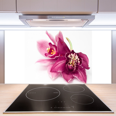 Rivestimento parete cucina Fiori, piante, natura