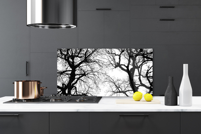 Pannello cucina paraschizzi Alberi della natura in bianco e nero