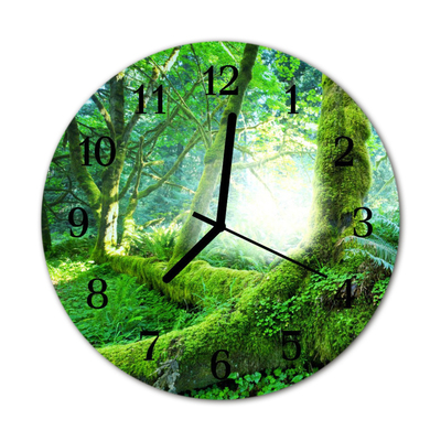 Orologio rotondo Foresta di muschio