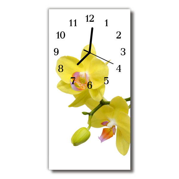 Orologio verticale in vetro Fiori orchidea orchidea giallo