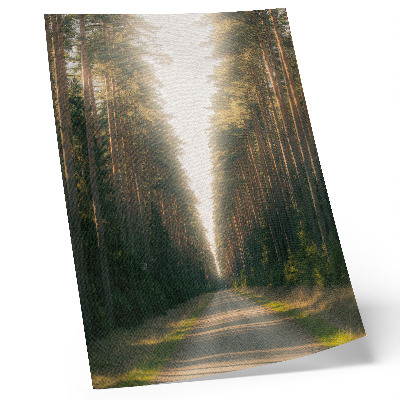 Stampa su tela Un favoloso sentiero nel bosco con alberi ad alto fusto