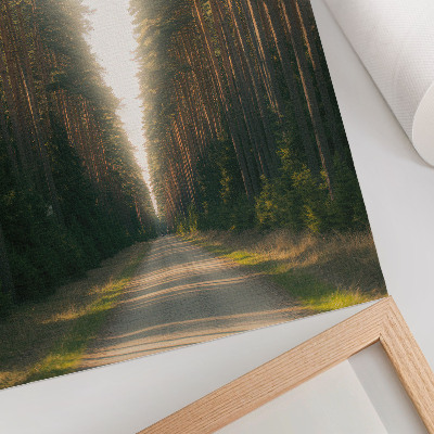 Stampa su tela Un favoloso sentiero nel bosco con alberi ad alto fusto