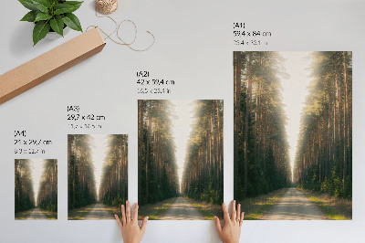 Stampa su tela Un favoloso sentiero nel bosco con alberi ad alto fusto