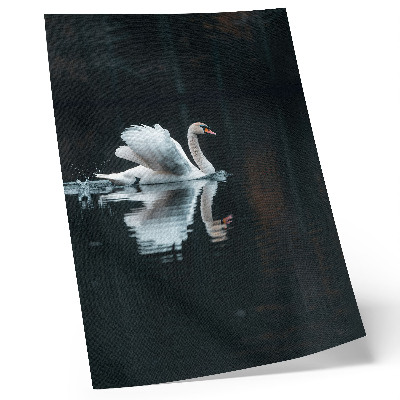 Foto su tela Cigno sull'acqua con riflesso
