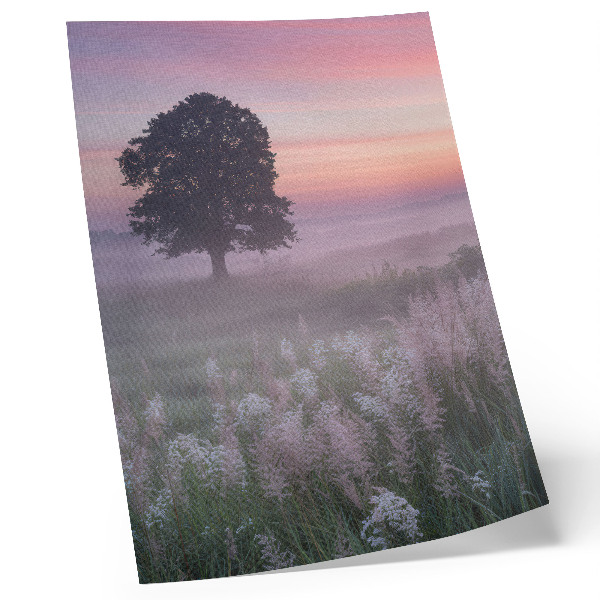 Poster Albero solitario nella nebbia, colori pastello del cielo