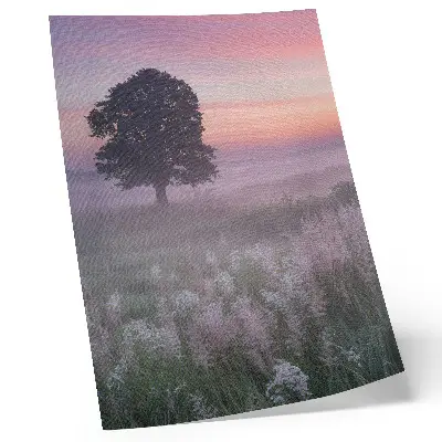 Poster albero solitario nella nebbia con colori pastello del cielo