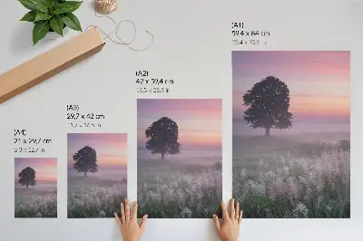 Poster albero solitario nella nebbia con colori pastello del cielo