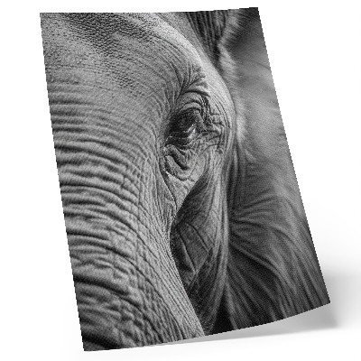 Stampa su tela L'occhio di un elefante è colmo di texture, armonia e pace.