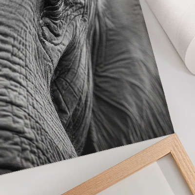 Stampa su tela L'occhio di un elefante è colmo di texture, armonia e pace.