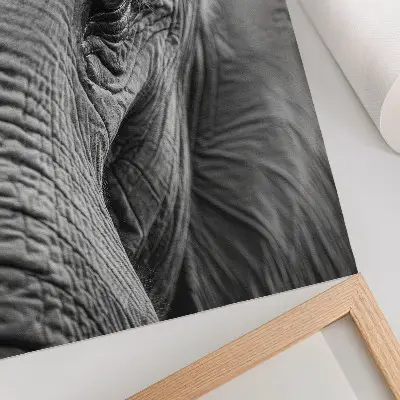 Stampa su tela l'occhio di un elefante ricco di texture, armonia e pace