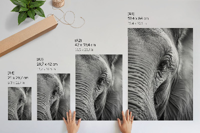 Stampa su tela L'occhio di un elefante è colmo di texture, armonia e pace.