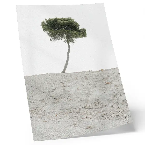 Foto su tela albero solitario su sfondo chiaro in stile minimalista
