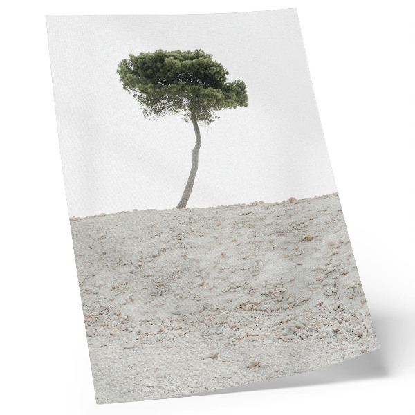 Foto su tela Albero solitario su sfondo chiaro, minimalismo