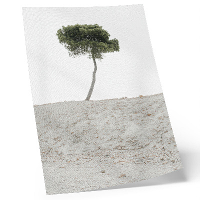 Foto su tela Albero solitario su sfondo chiaro, minimalismo