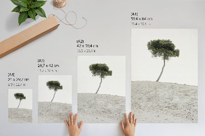 Foto su tela Albero solitario su sfondo chiaro, minimalismo