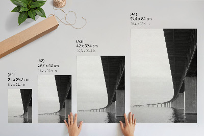 Poster La struttura grezza del ponte sull'acqua