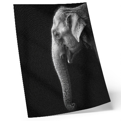 Foto su tela Ritratto monocromatico di un elefante di profilo