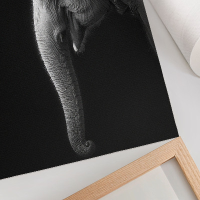 Foto su tela Ritratto monocromatico di un elefante di profilo