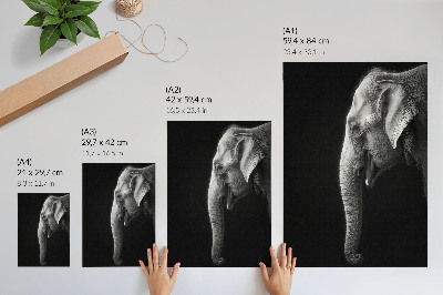 Foto su tela Ritratto monocromatico di un elefante di profilo