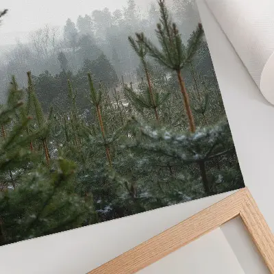 Stampa su tela pini verdi con nebbia in una atmosfera rilassante e profonda