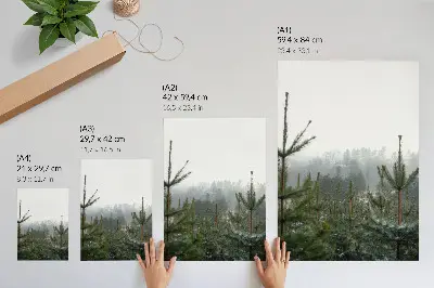 Stampa su tela pini verdi con nebbia in una atmosfera rilassante e profonda