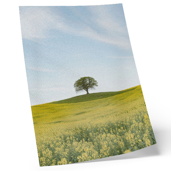 Foto su tela Un albero su una collina in un campo giallo