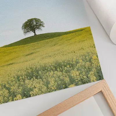 Foto su tela albero su una collina in un campo giallo
