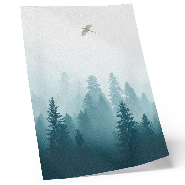 Poster Nebbia leggera, uccello della foresta in alto sopra gli alberi