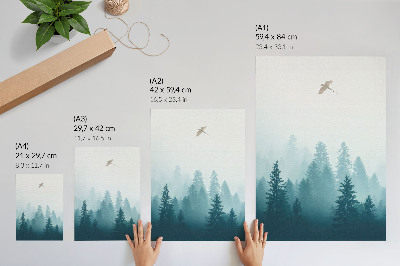 Poster Nebbia leggera, uccello della foresta in alto sopra gli alberi