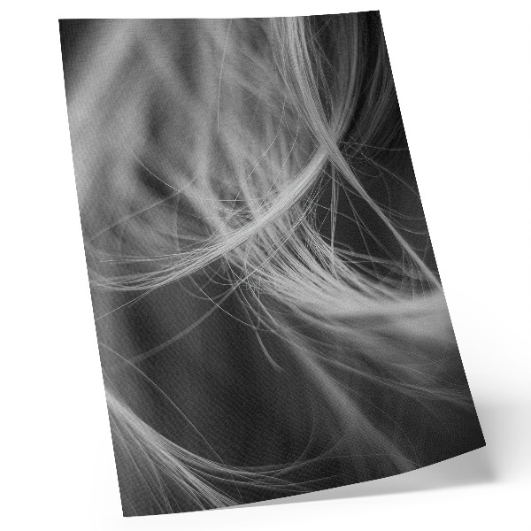 Stampa su tela Linee delicate, stile astratto moderno