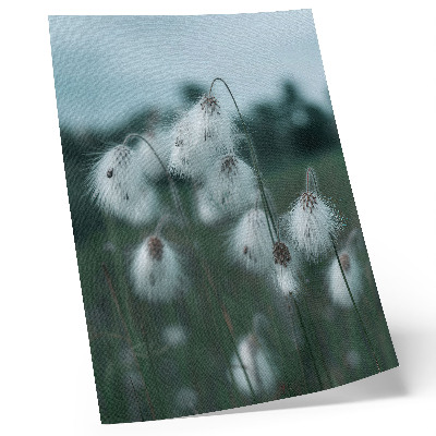 Poster Spighe d'erba leggere, delicatezza, blu, pace